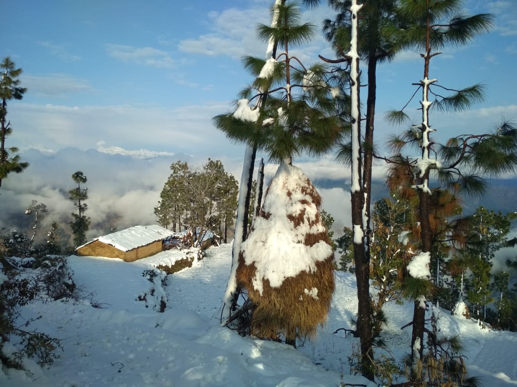 Chasing Snow in Uttarakhand