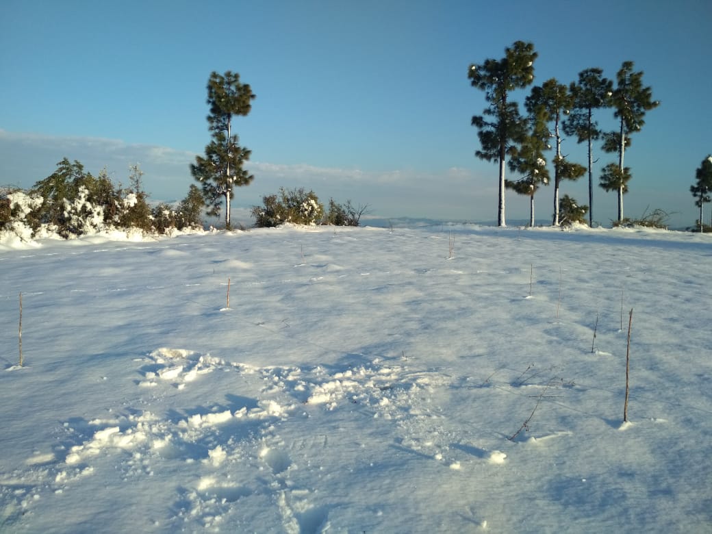 touristplace-Chakrata