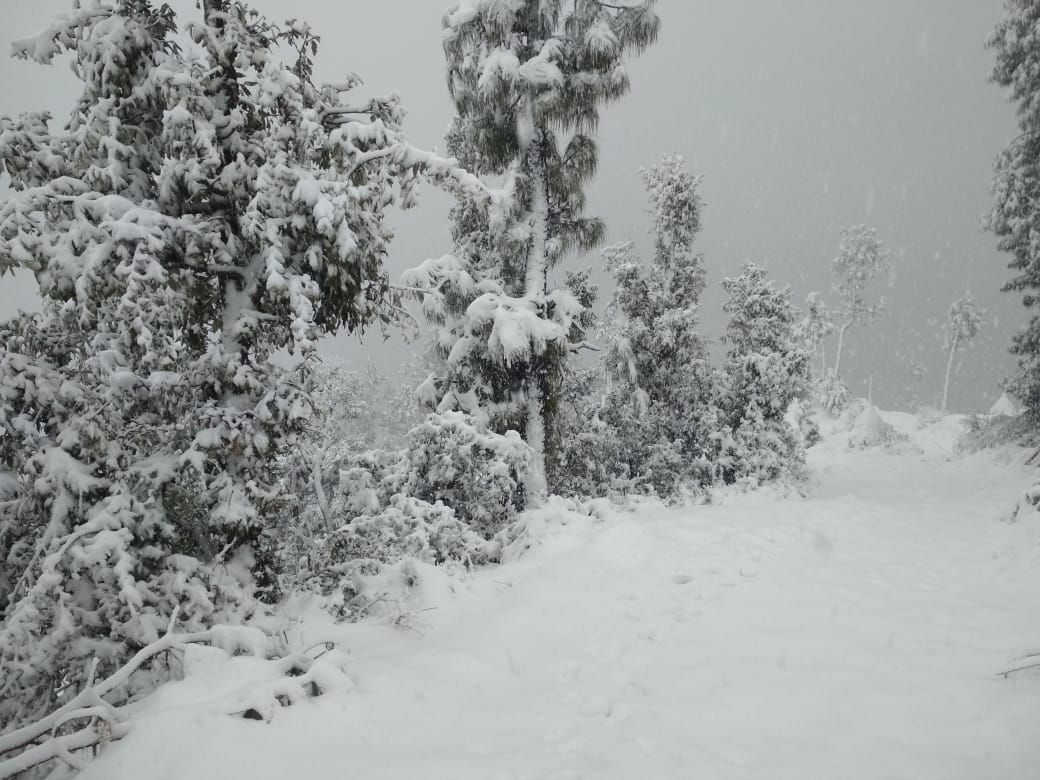 touristplace-Jageshwar